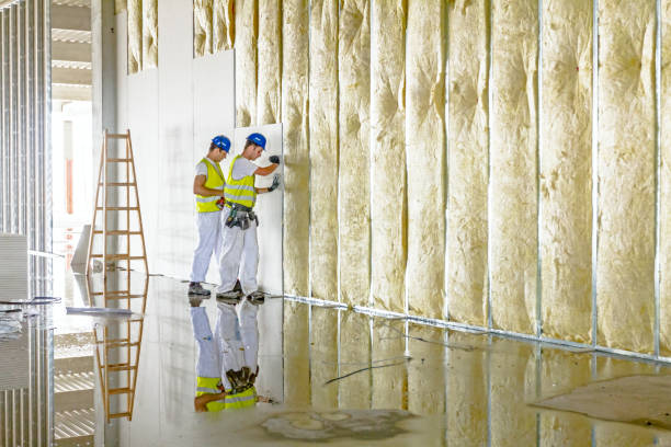 Best Insulation Maintenance and Repair in Jnstown, OH
